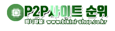 비니파일 P2P 사이트 순위