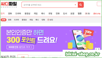 싸다파일 로고